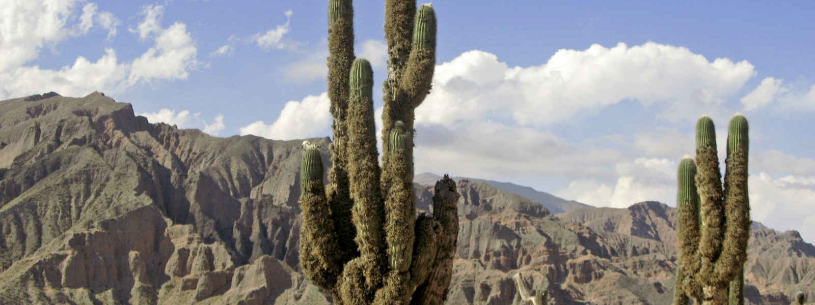 Humahuaca, région de Jujuy, Argentine