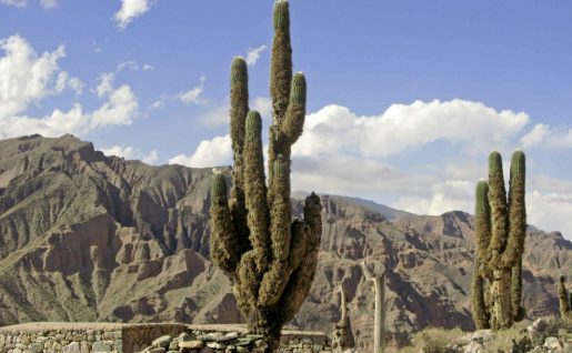 Humahuaca, région de Jujuy, Argentine