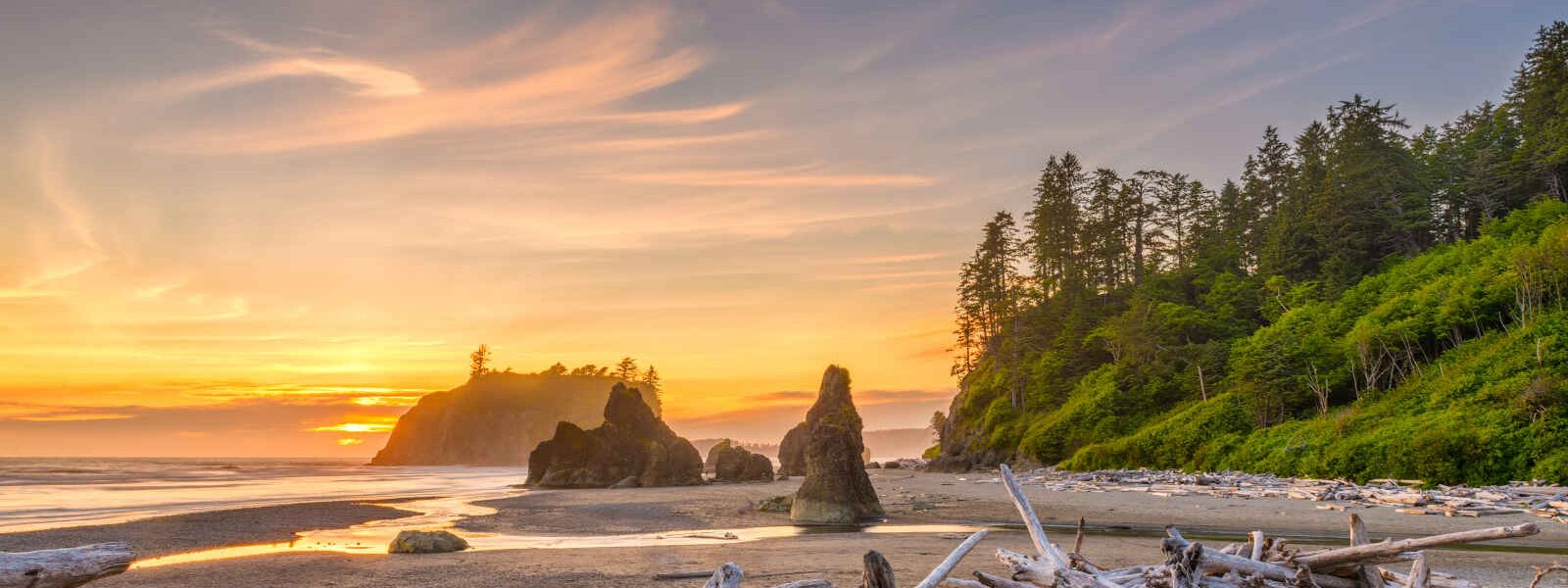 Olympic National Park, Washington, Etats Unis