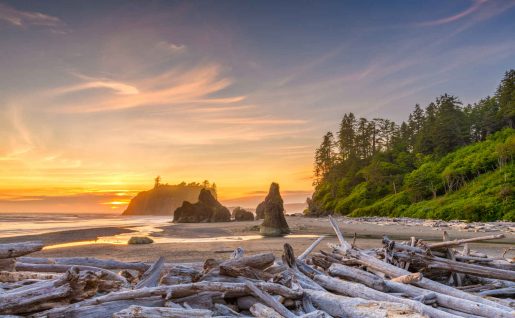 Olympic National Park, Washington, Etats Unis
