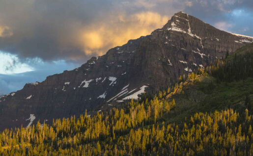 Mont Hélène, Glacier National Park, Montana, États-Unis, Amérique du nord