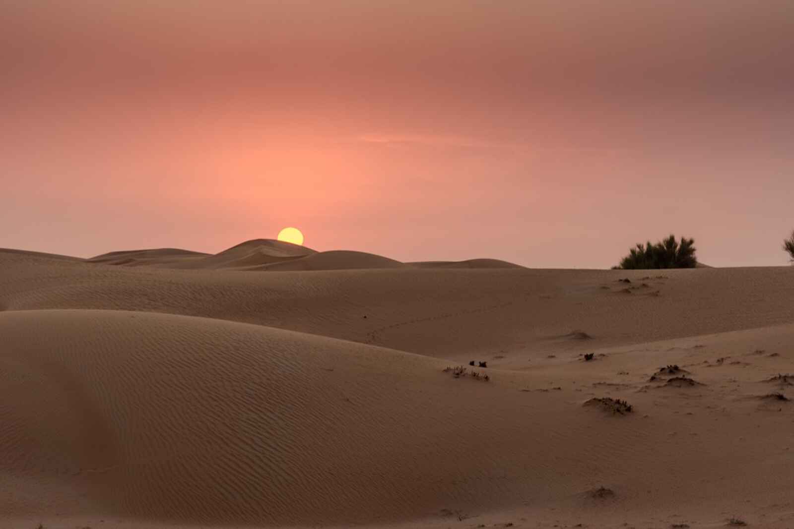 Dubaï, Désert, coucher de soleil