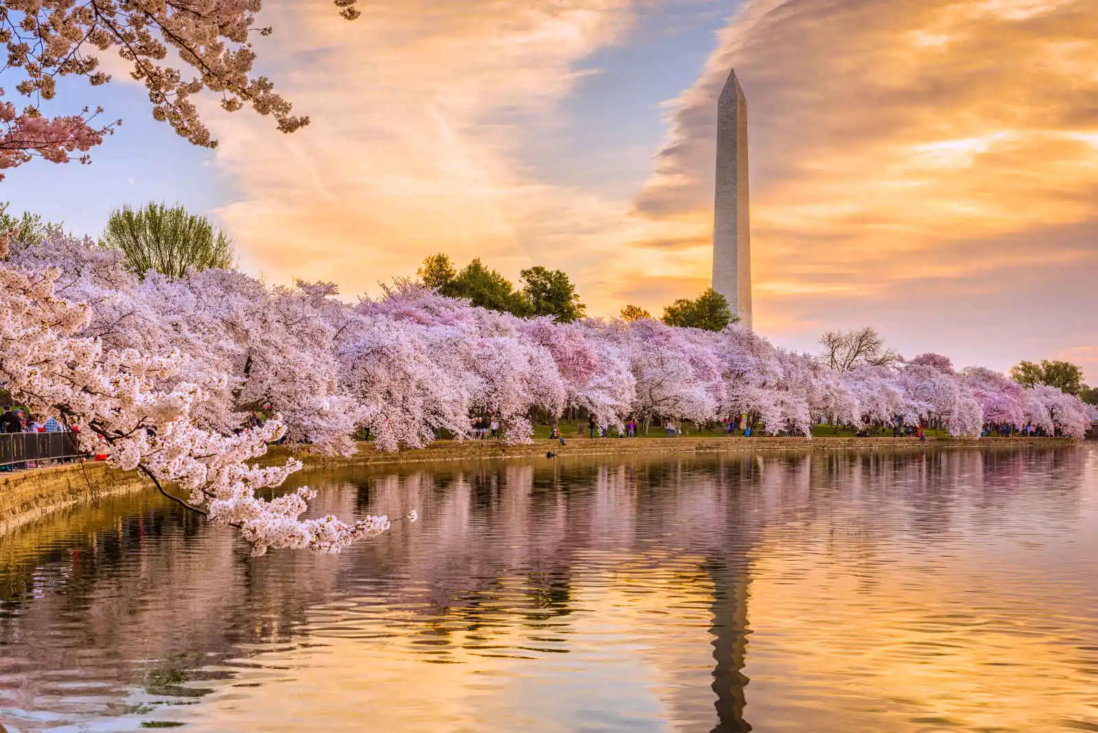 Washington Monument, Washington, USA