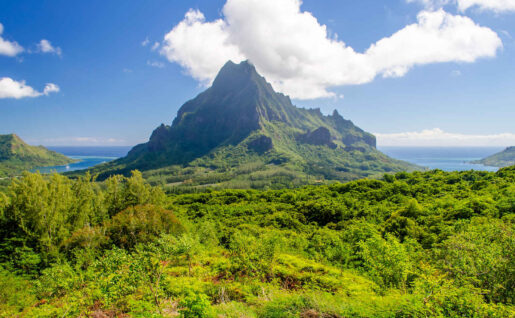 Moorea, îles du Vent, archipel de la Société, Polynésie française