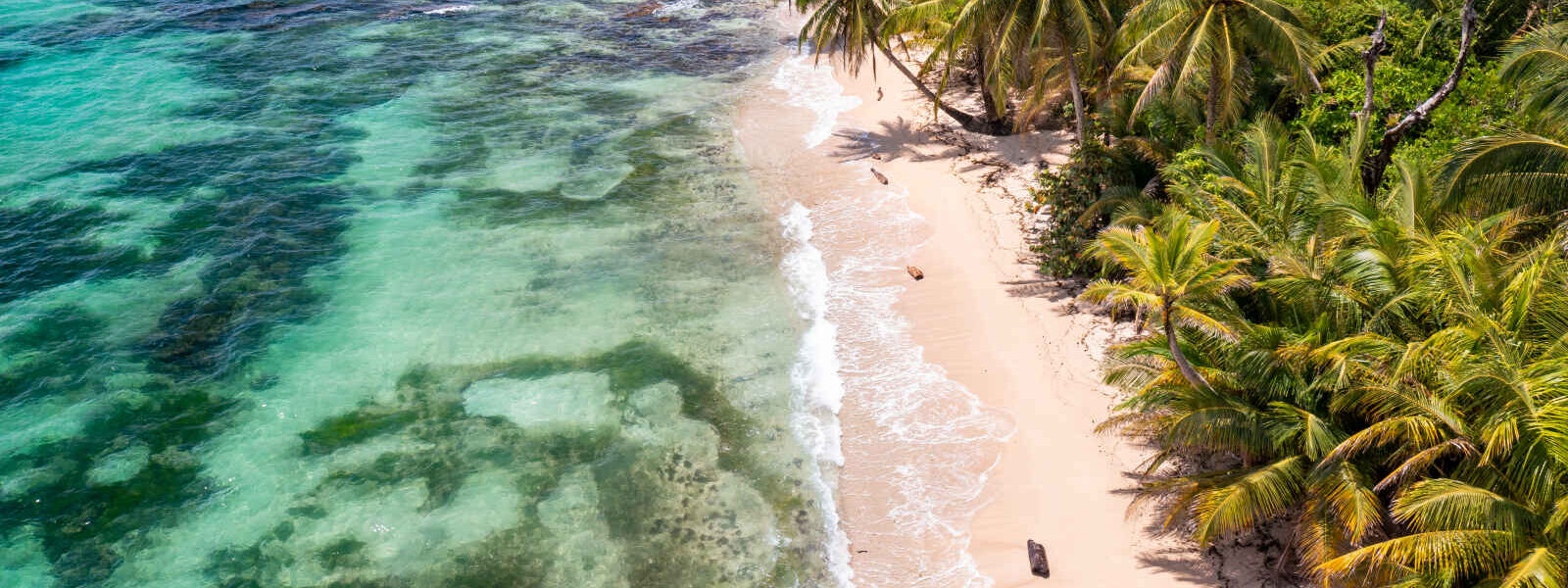 Bocas del Toro, île Bastimentos, Panamá
