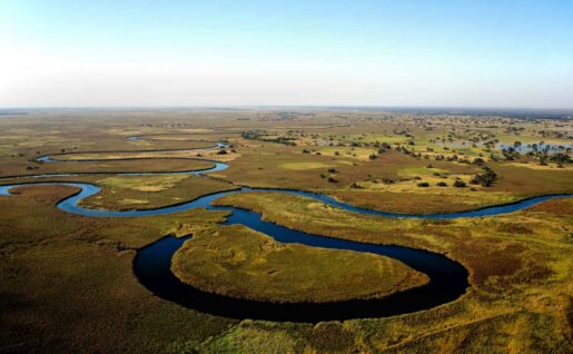 Delta de l'Okavango, Botswana