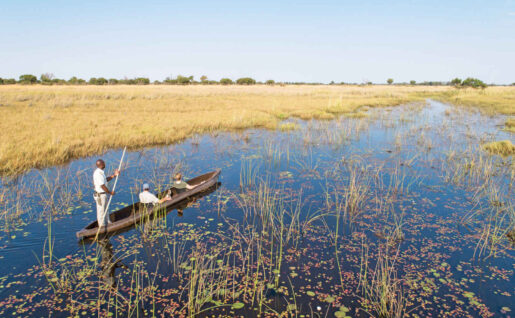 Balade en Mekoro, Botswana
