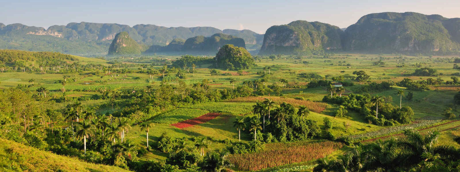 Contrée de Viñales, Cuba