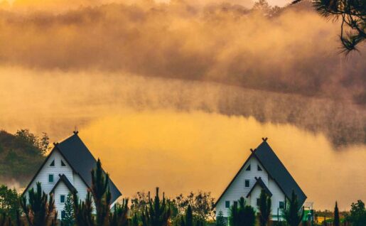 Nature, Dalat, Vietnam