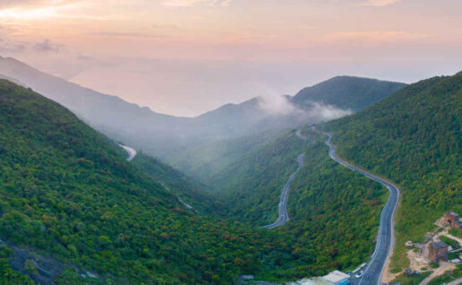 Collines de Monteverde et les plantations de café, Vallée du café, Costa Rica