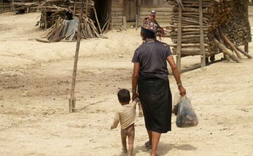 Ethnies du nord, Laos