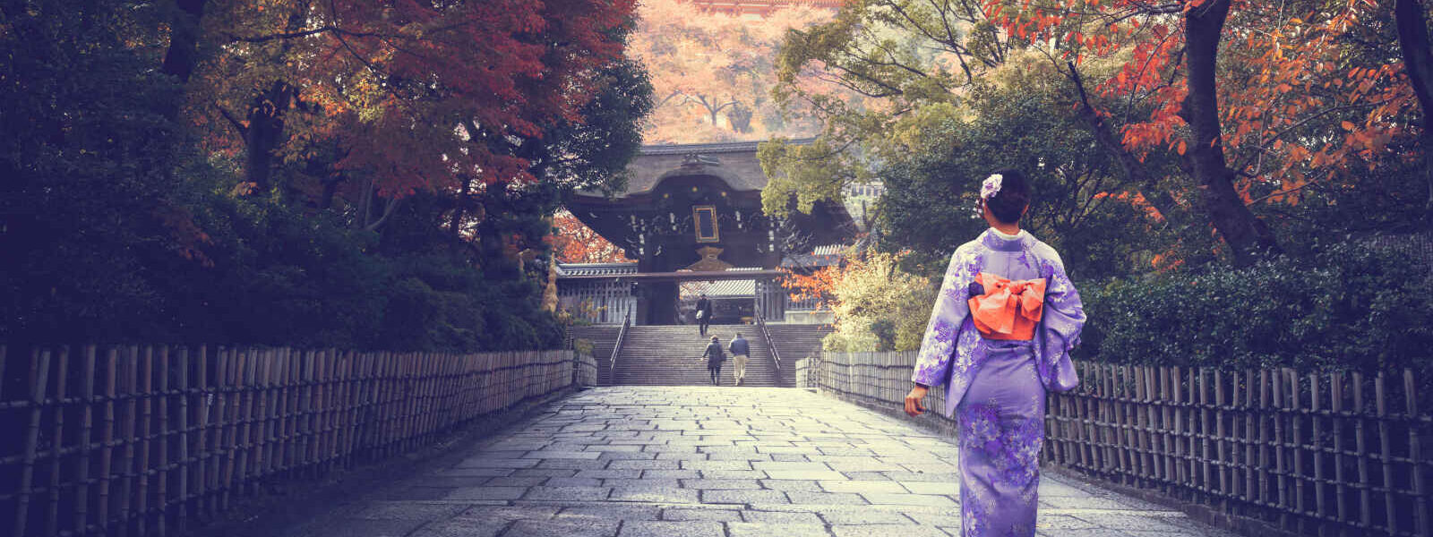 Japonnaise en kimono, Japon