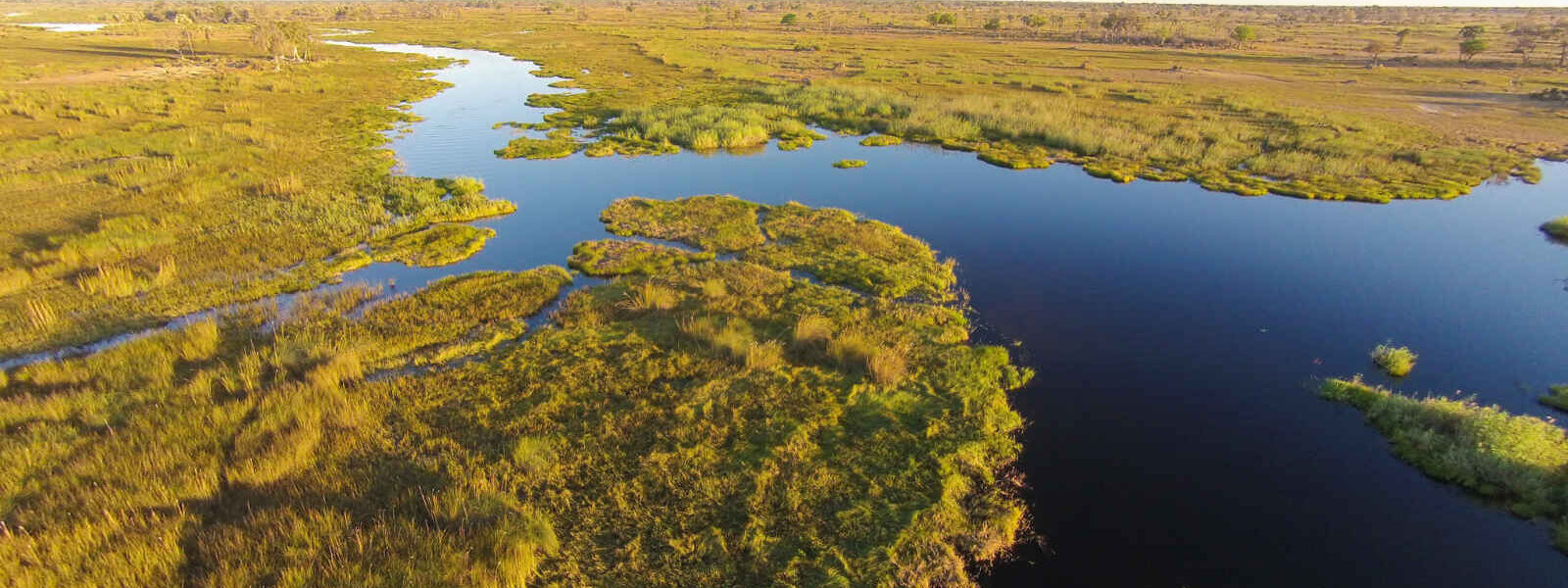 Réserve de Moremi, Botswana