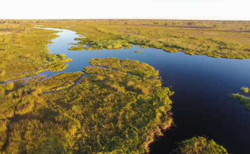 Réserve de Moremi, Botswana