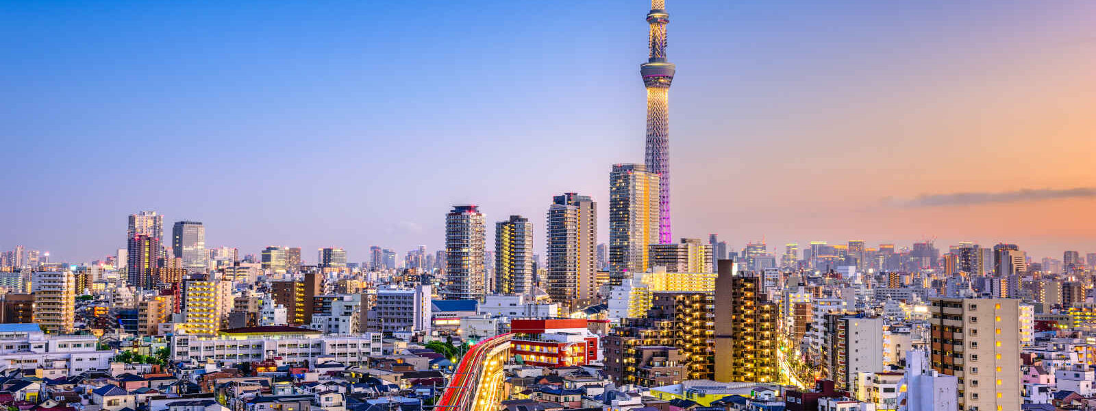 Tokyo, Japon