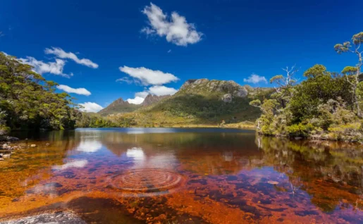Cradle Mountain et Dove Lake, Cradle Mountain Lake St Clair National Park, Tasmanie, Australie