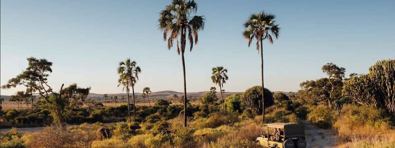 Parc National de Ruaha, Tanzanie