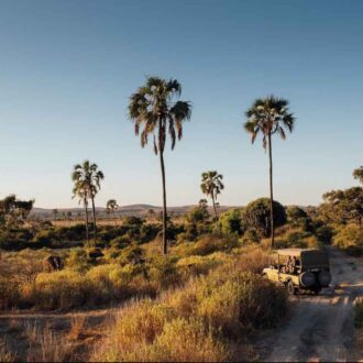 Parc National de Ruaha, Tanzanie