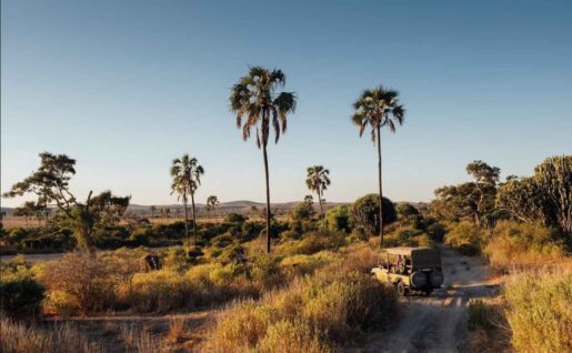 Parc National de Ruaha, Tanzanie