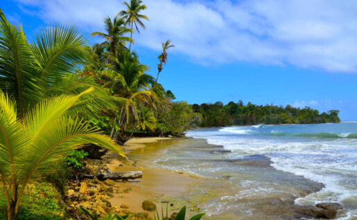 Plage Sauvage, Boca Del Toro, Panama City, Panama