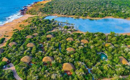 Vue d'ensemble, Uga Chena Huts, Yala, Sri Lanka