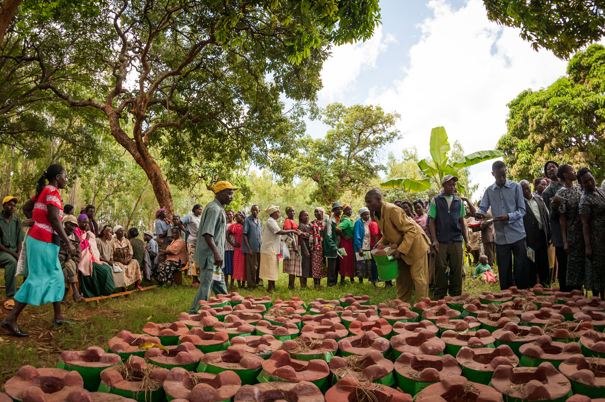 Réduction de la déforestation au Kenya