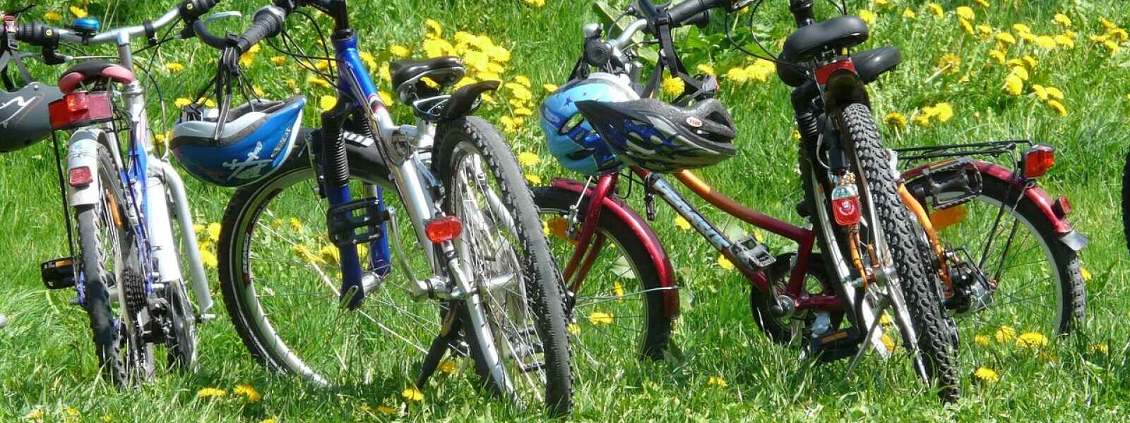 Bhoutan à vélo, Bhoutan