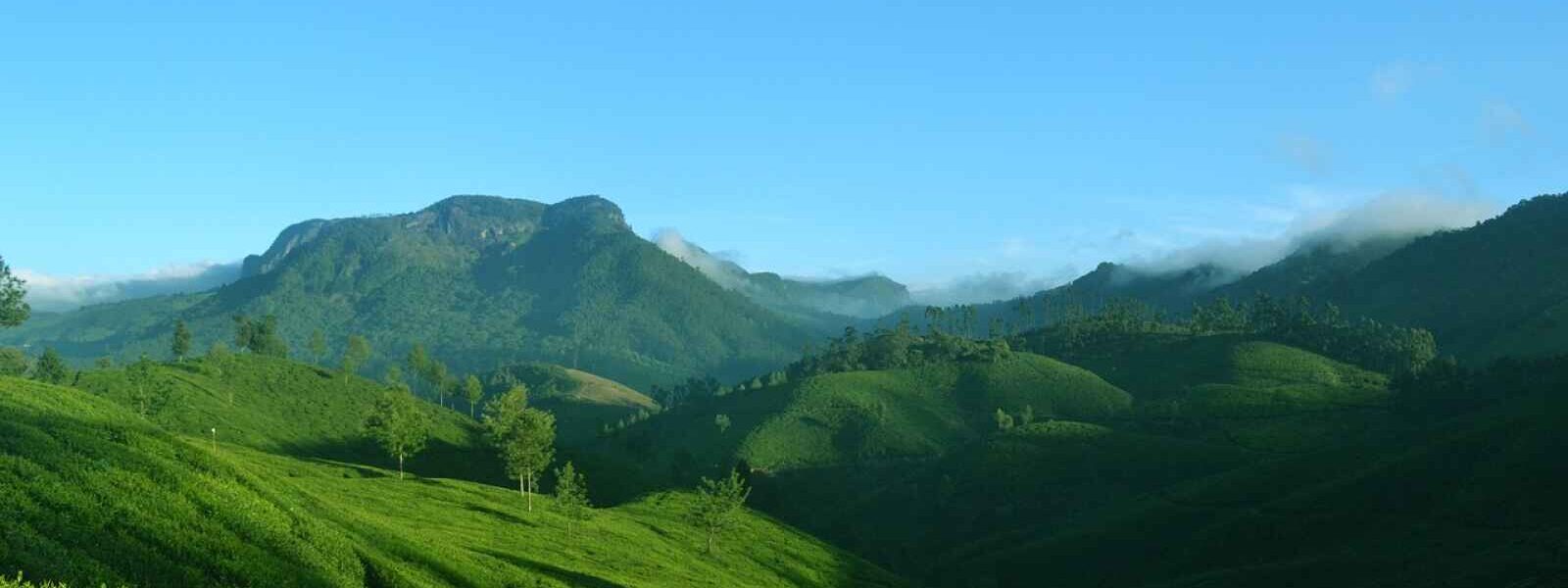 Munnar, Kerala, Inde