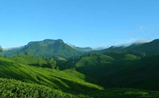 Munnar, Kerala, Inde